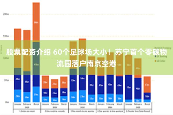 股票配资介绍 60个足球场大小！苏宁首个零碳物流园落户南京空港