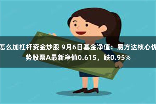 怎么加杠杆资金炒股 9月6日基金净值：易方达核心优势股票A最