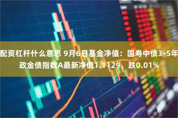 配资杠杆什么意思 9月6日基金净值：国寿中债3-5年政金债指