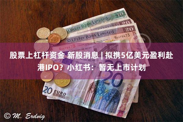 股票上杠杆资金 新股消息 | 拟携5亿美元盈利赴港IPO？小