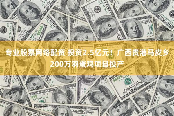 专业股票网络配资 投资2.5亿元！广西贵港马皮乡200万羽蛋