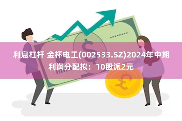 利息杠杆 金杯电工(002533.SZ)2024年中期利润分