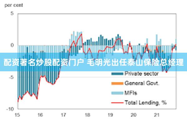 配资著名炒股配资门户 毛明光出任泰山保险总经理