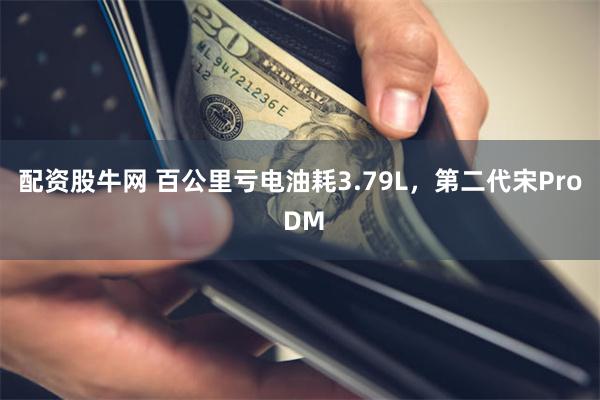 配资股牛网 百公里亏电油耗3.79L，第二代宋Pro DM