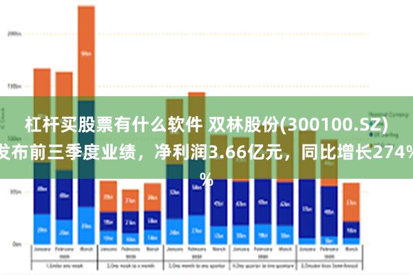 杠杆买股票有什么软件 双林股份(300100.SZ)发布前三