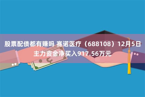 股票配债都有赚吗 赛诺医疗（688108）12月5日主力资金净买入917.56万元