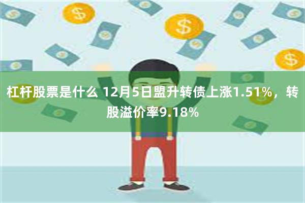 杠杆股票是什么 12月5日盟升转债上涨1.51%，转股溢价率