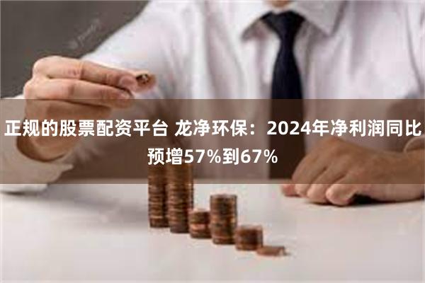 正规的股票配资平台 龙净环保：2024年净利润同比预增57%