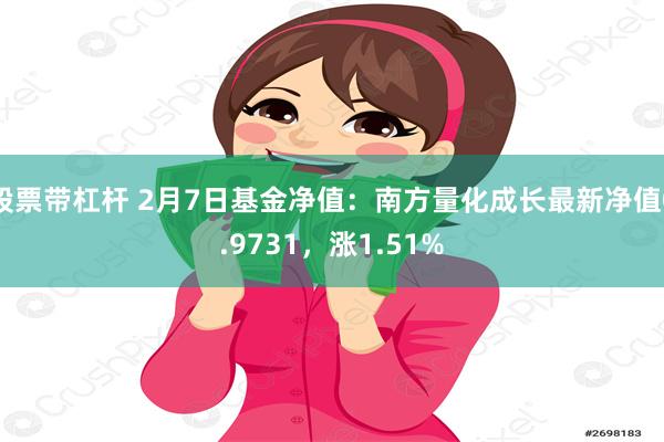 股票带杠杆 2月7日基金净值：南方量化成长最新净值0.973