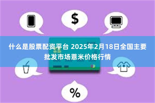 什么是股票配资平台 2025年2月18日全国主要批发市场薏米