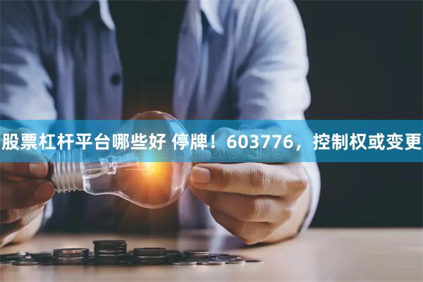 股票杠杆平台哪些好 停牌！603776，控制权或变更