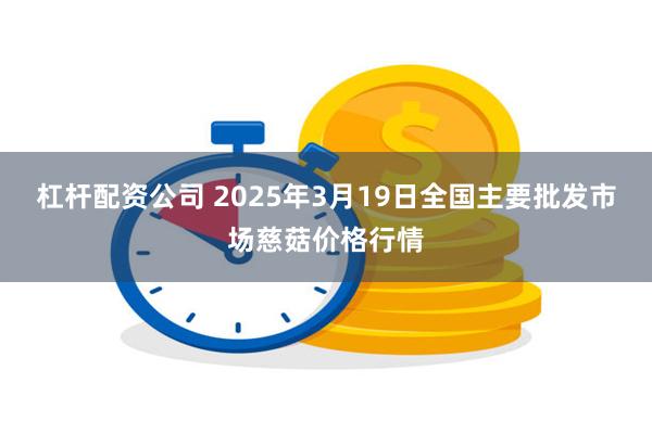 杠杆配资公司 2025年3月19日全国主要批发市场慈菇价格行