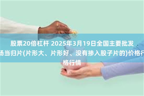 股票20倍杠杆 2025年3月19日全国主要批发市场当归片(